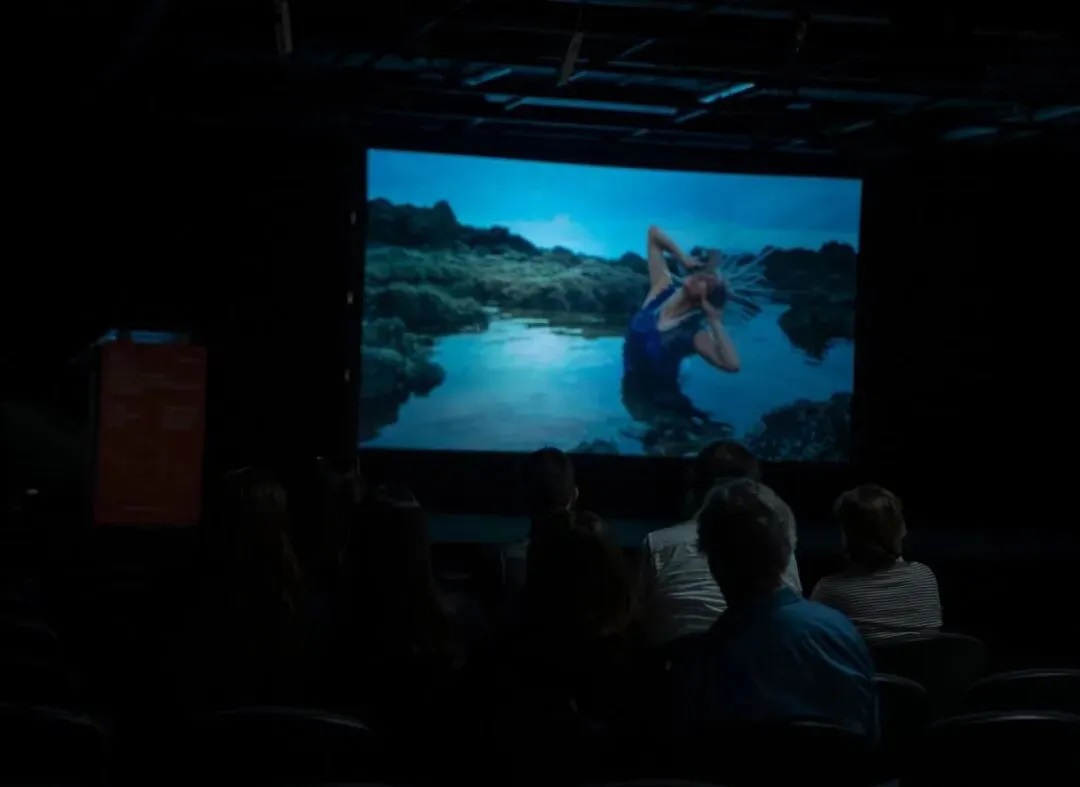 68fae07837083.jpg 26.jpg